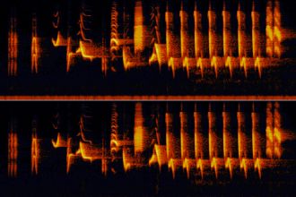 Sonagramme rossignol3
