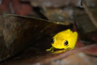 1586 160109 mg 2687 eclairage