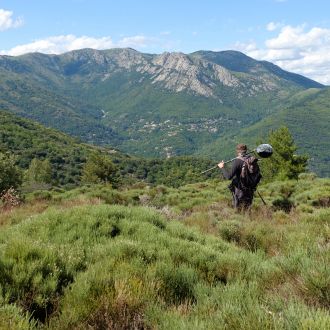 2020 07 02 17h13 DSCF0205