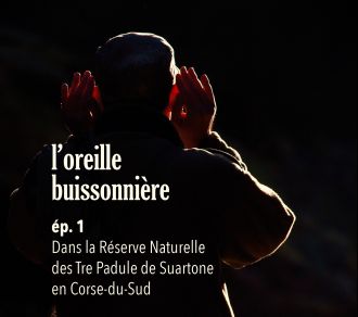 Loreille buissonniere ep1