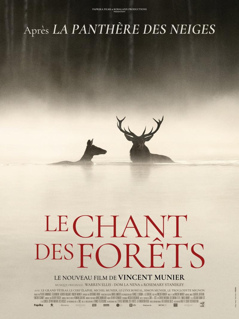 120x160 LE CHANT DES FORÊTS 13 10 Ok