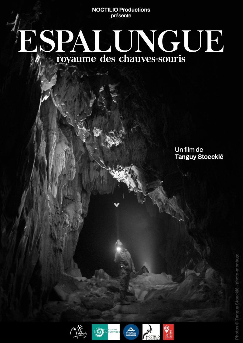 Affiche Espalungue