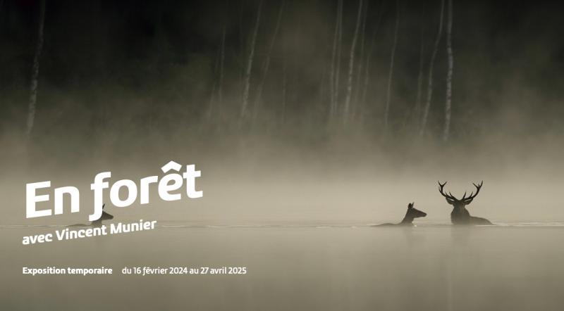 Capture d’écran 2024 02 16 à 06.55.14