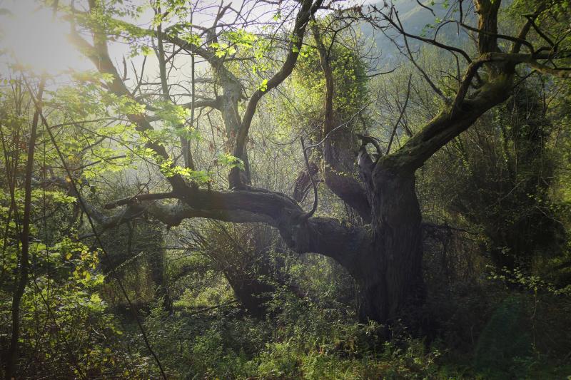 P1110044 modifs2 2200