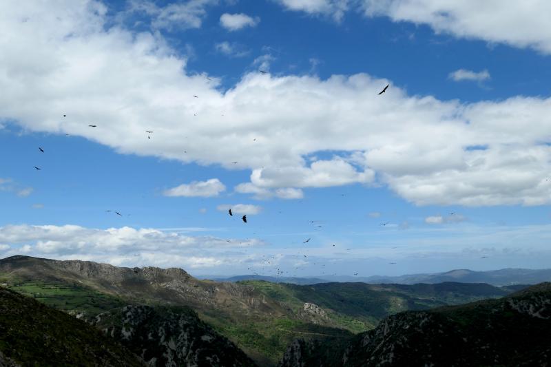 P1110619 modifs 2200