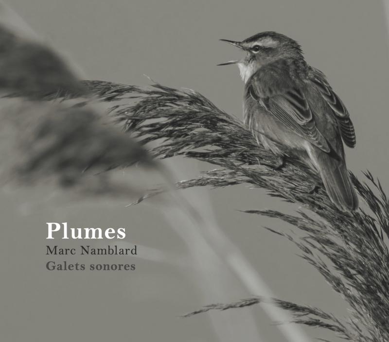Plumes