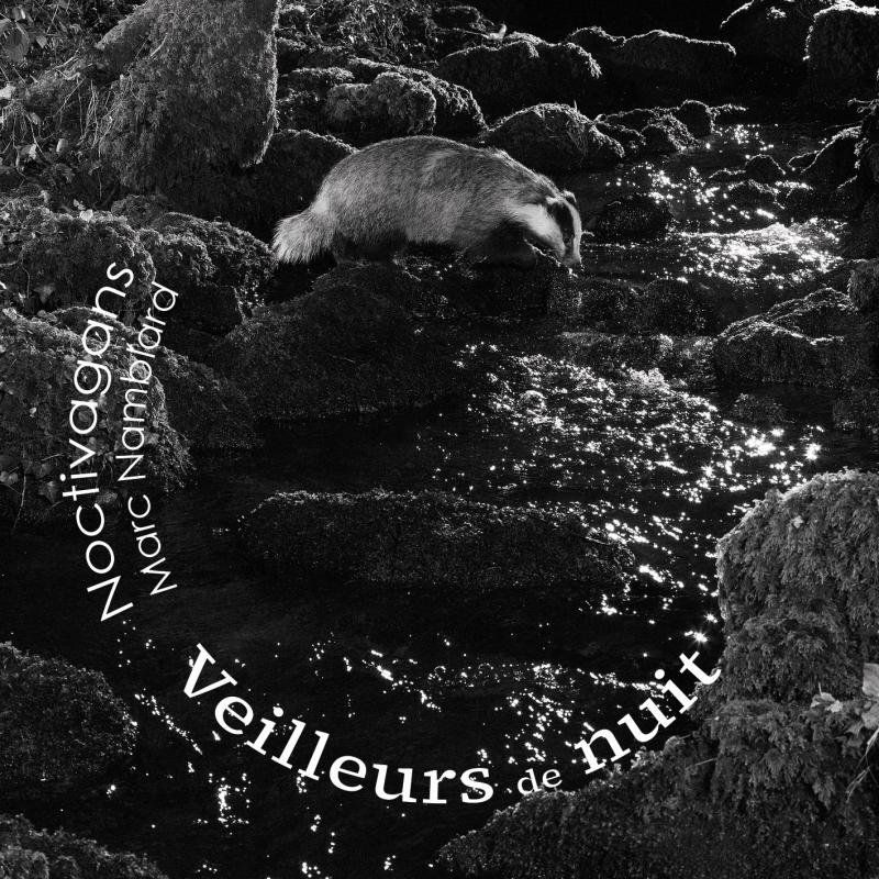 Visuel Noctivagans