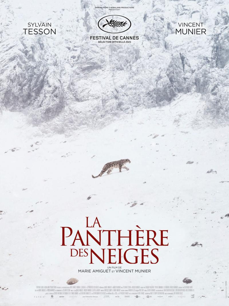 affiche la panthere des neiges ok scaled