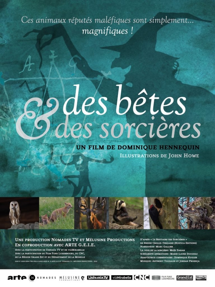 invitation projection des betes et des sorcieres 768x1024